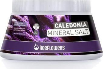 Reeflowers Caledonia Mineral Salt 5500 ml Akvaryum Tuzu