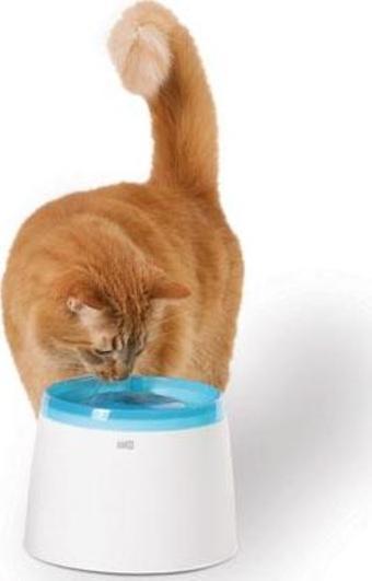 Catit Fresh Kedi Suluğu 2 Litre 