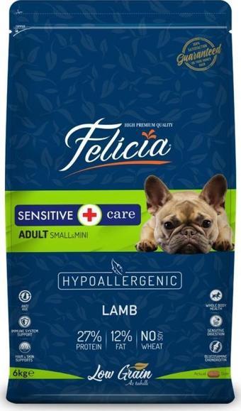 Felicia 6 Kg Yetişkin Kuzulu Small/Mini Köpek Mama 