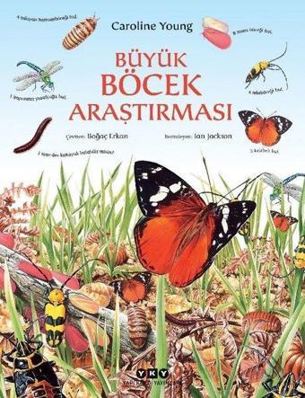 Büyük Böcek Araştırması - Caroline Young - Yapı Kredi Yayınları