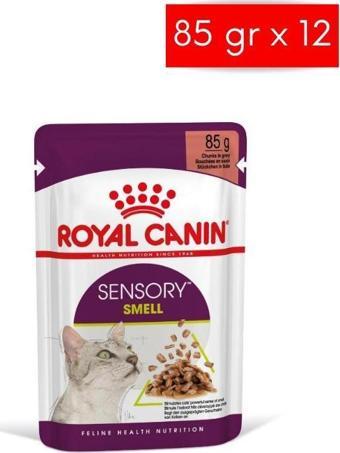 Royal Canin Sensory Smell Gravy 85 Grx12 Adet Kedi Konservesi