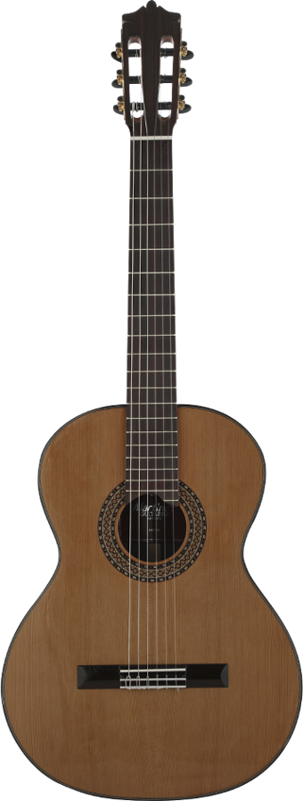 MARTINEZ MC-88C Klasik Gitar