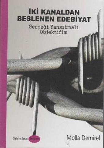 İki Kanaldan Beslenen Edebiyat - Molla Demirel - Gelişim Sanat Yayınları