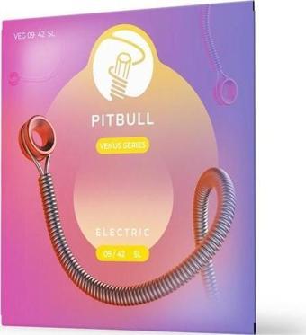 PİTBULL VEG ELEKTRO GİTAR TELİ 09-42