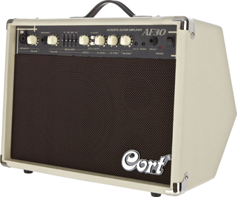 AF30 Saz Ve Akustik Gitar Amfisi 30 Watt