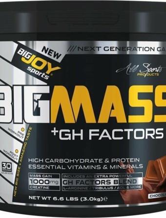 Bigjoy Sports Big Mass +gh Factors 3000 Gr - Çilek