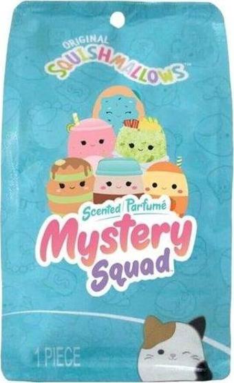 Squishmallows Mystery Bags 13cm Sürprizli