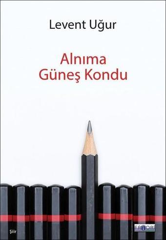 Alnıma Güneş Kondu - Levent Uğur - Favori Yayınları