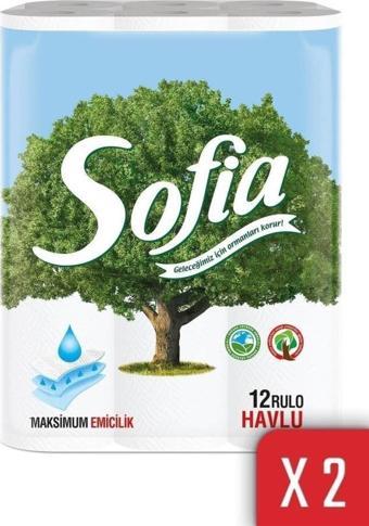 Sofia Ecording Mutfak Kağıt Havlusu 12'li X 2 Adet