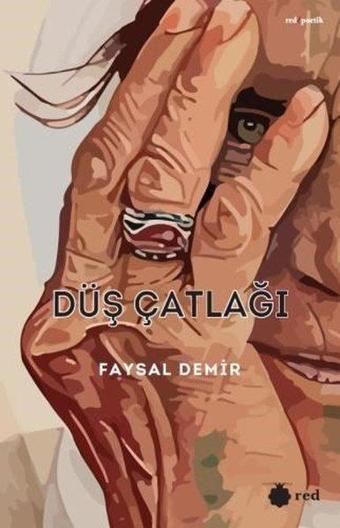 Düş Çatlağı - Faysal Demir - Red Yayınları