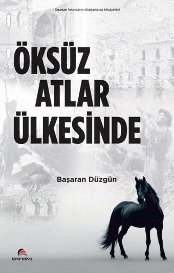 Öksüz Atlar Ülkesinde - Başaran Düzgün - Ekinoks