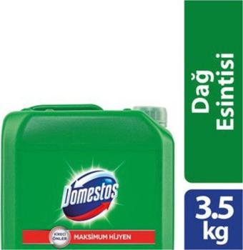 Domestos Çamaşır Suyu Çam Ferahlığı 3.240 ML