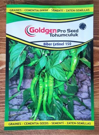 Azaklioglu Home And Garden Goldgen Pro Seed Biber Çetinel