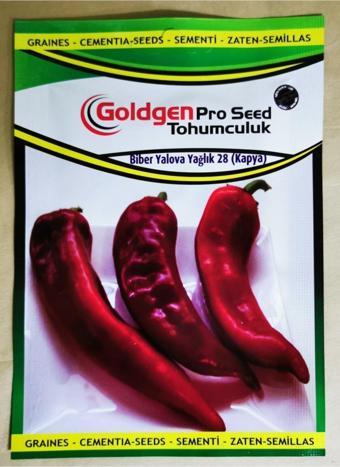 Azaklioglu Home And Garden Goldgen Pro Seed Biber Tohumu (Kapaya Yağlık)