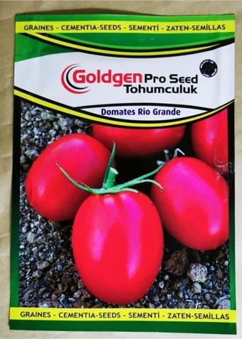 Azaklioglu Home And Garden Goldgen Pro Seed Domates Tohumu (Salçalık)