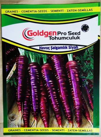 Azaklioglu Home And Garden Goldgen Pro Seed Havuç Şalgamlık Siyah