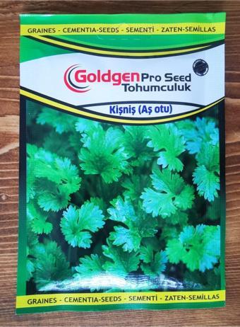 Azaklioglu Home And Garden Goldgen Pro Seed Kişniş (Aş Otu)