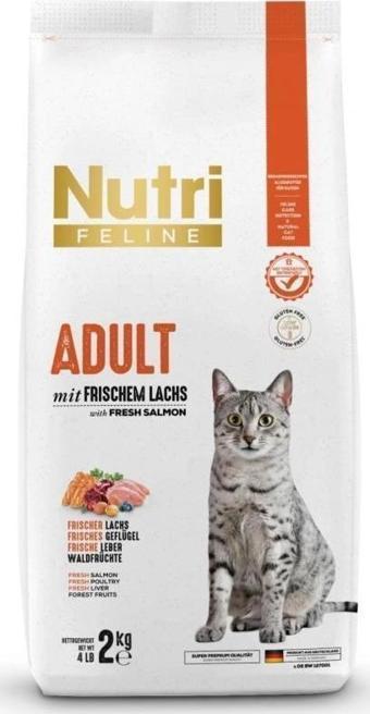 Nutri Feline Somonlu Kedi Maması 2 kg