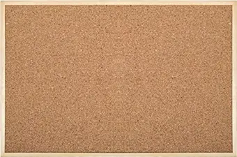 Simge Mantar Pano 45X60 Cm 0136