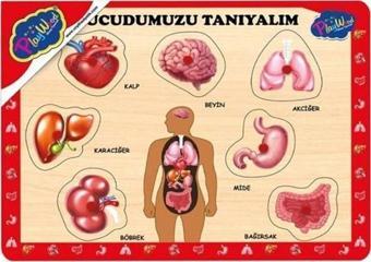 Ahşap Tutmalı Vücudumuzu Tanıyalım ONY287 Playwood