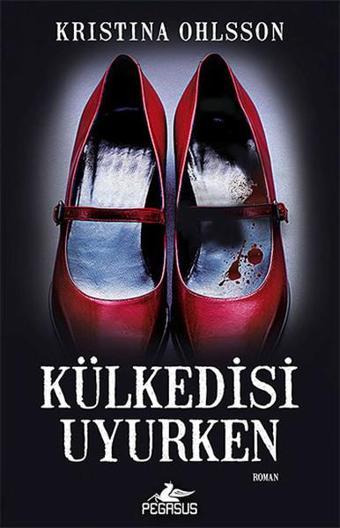 Külkedisi Uyurken - Pegasus Yayınevi