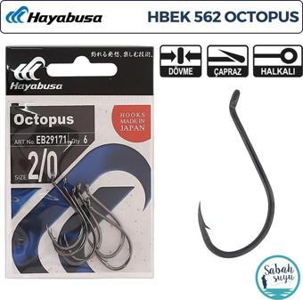 Hayabusa HBEK 562 Octopus Delikli İğne Siyah #2/0 (6 Adet)