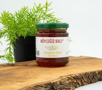 Köyceğiz Balı Anason Balı 250 G Cam Kavanoz