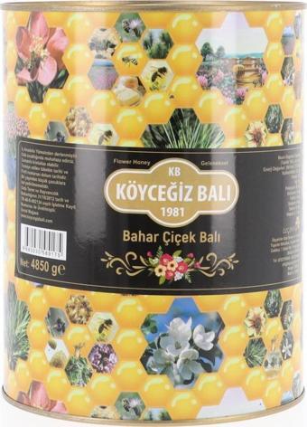 Köyceğiz Balı Bahar Çiçek Balı 4850 G Teneke