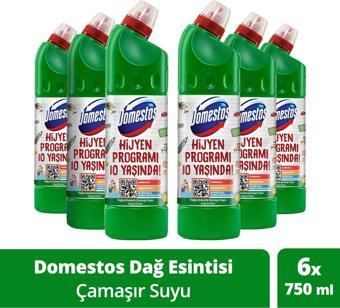 Domestos Yoğun Kıvamlı Çamaşır Suyu Dağ Esintisi Maksimum Hijyen 750 ml 6 Adet