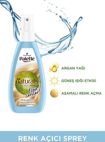 Palette Kalıcı Doğal Renkler Renk Açıcı Sprey