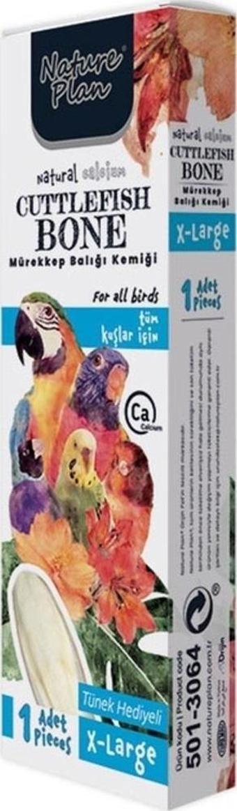 Nature Plan Mürekkep Balığı Kemiği X-Large