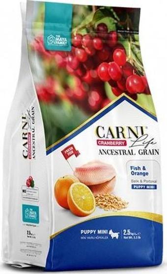 Carni Life Cranberry Balık ve Portakallı Mini Irk Yavru Köpek Maması 2,5 kg