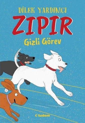 Zıpır Gizli Görev - Dilek Yardımcı - Tudem Yayınları