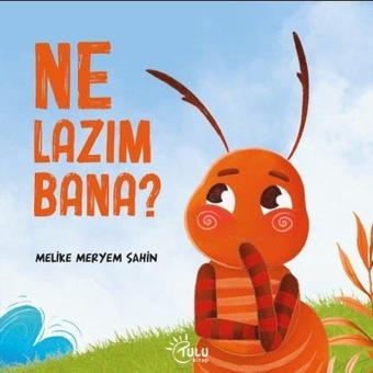 Ne Lazım Bana? - Melike Meryem Şahin - Tulu Kitap