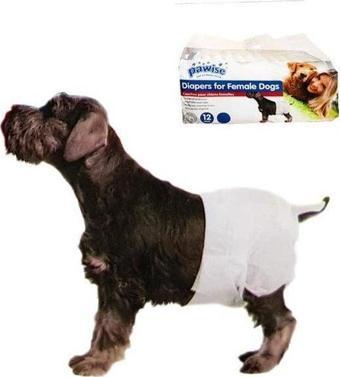Pawise Köpek Alt Bağlama Bezi S Boy 12 Adet