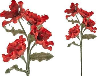 Lamedore Kokoş Çiçeği Kırmızı 100 Cm