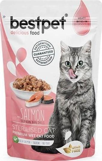 Bestpet Sterilised Jelly Pouch Somonlu Kedi Maması 85 Gr