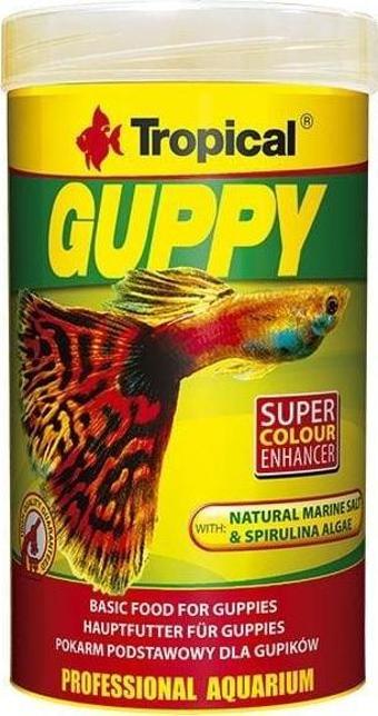 Tropical Guppy Lepistes Balıkları için Pul Balık Yemi 100 Ml 20 Gr