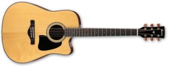 IBANEZ AW3000CE-NT