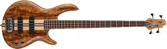 CORT A4 CUSTOM SPNATW