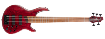 CORT B5 ELEMENT OPBR