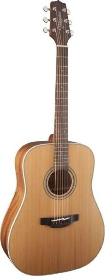 Takamine GD20-NS Akustik Gitar