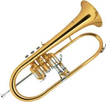 Jinbao JBFH-1150L Flugelhorn Trompet