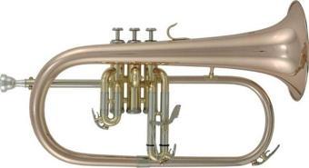 Roy Benson FH-302G Flugelhorn