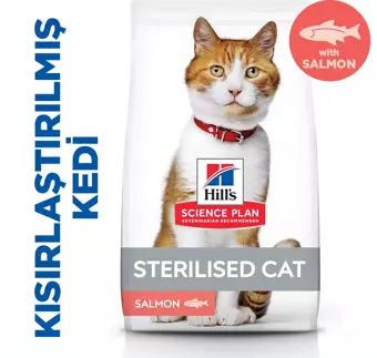 Hill'S Somon Balıklı Kısırlaştırılmış Kedi Maması 3 Kg