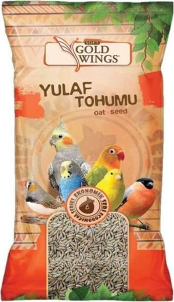 Gold Wings Yulaf Tohumu Tamamlayıcı 300 Gr