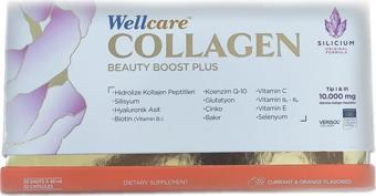 Wellcare Collagen Beauty Plus Frenk Üzümü Portakal Aromalı 30 x 40 ml Tüp