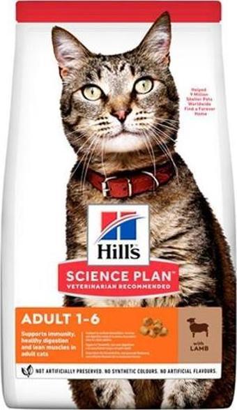 Hill's Adult Kuzu Etli Yetişkin Kedi Maması 10 kg