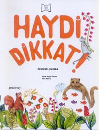 Haydi Dikkat 1 - Yeşim Kesgül Sercan - Pencere - Sey