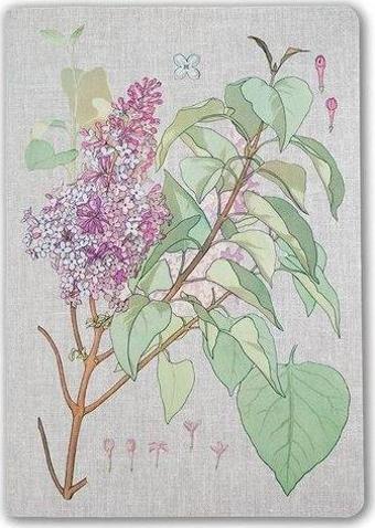 Muus Sewing Plante Lilac 16x23 Terzi Dikiş 64 Syf Çizgili Butik Defter